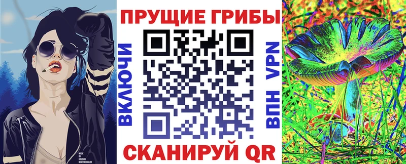 как найти закладки  Голицыно  Галлюциногенные грибы Psilocybe 